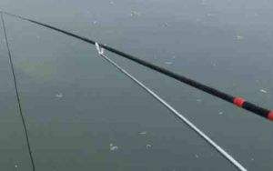 怎样分辨钓鱼用品的好坏